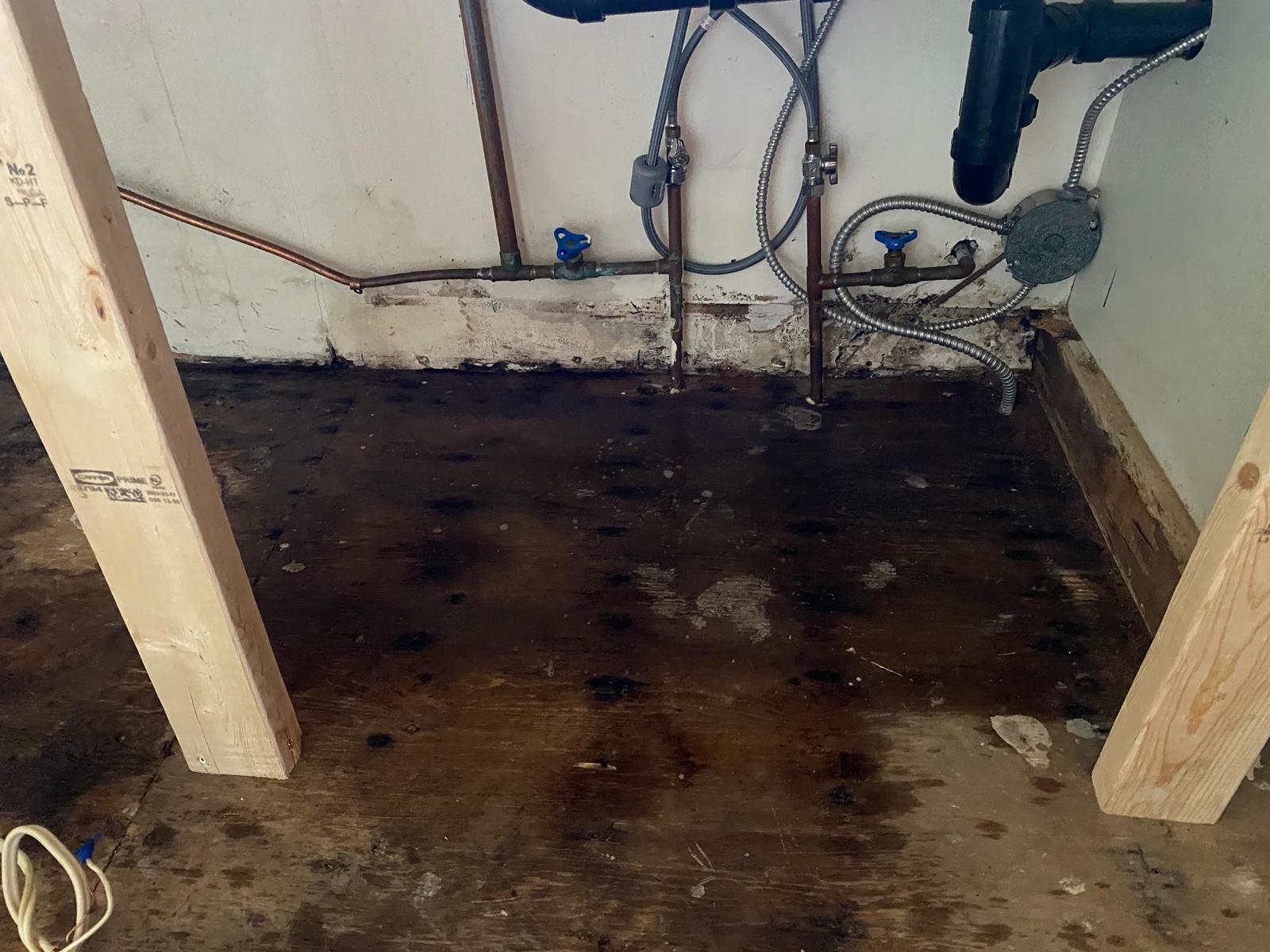 Mold Remediation